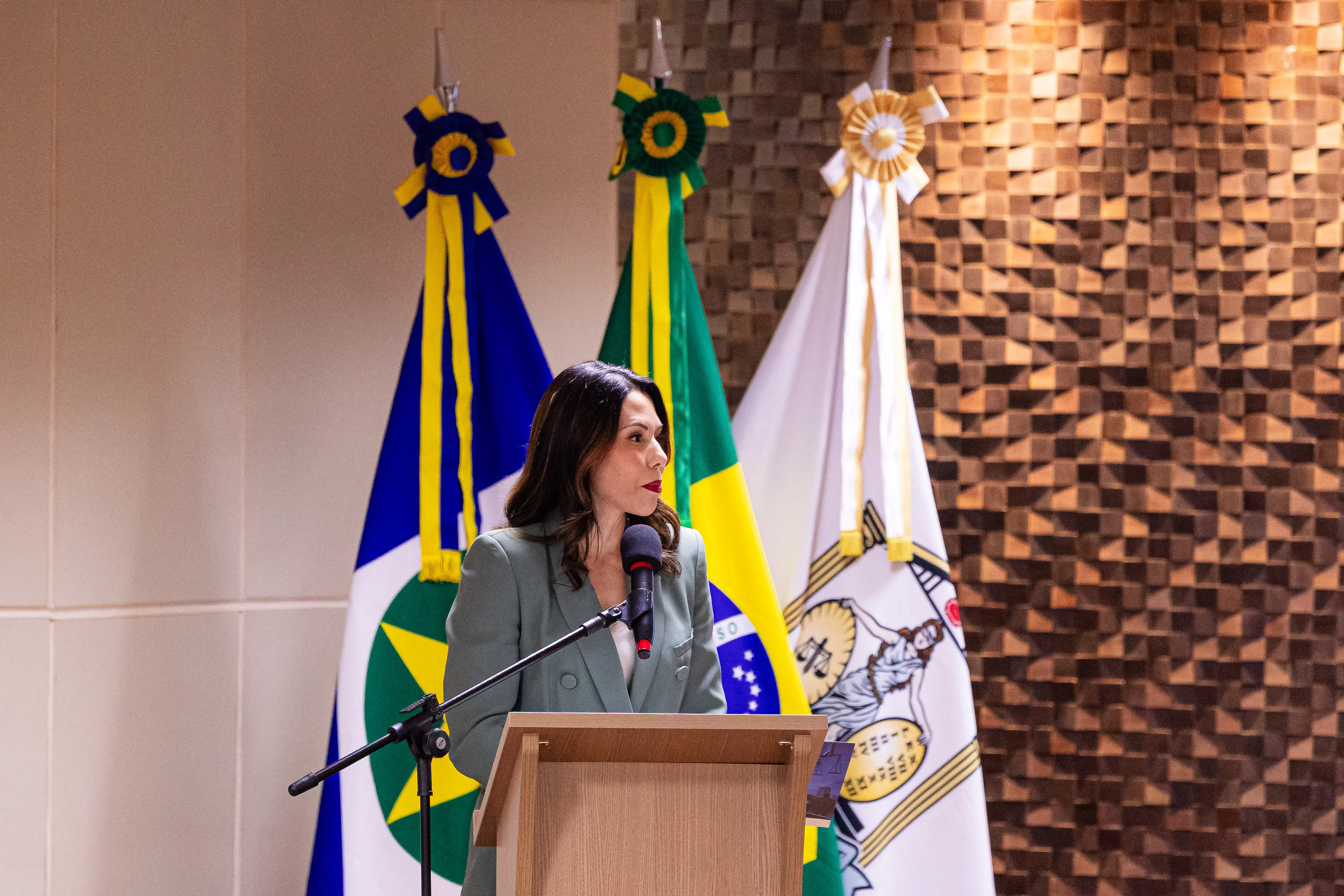 Mulher de cabelos escuros e terninho verde fala ao microfone em um púlpito de madeira. Ao fundo, três bandeiras oficiais dispostas verticalmente e uma parede decorada com pequenos blocos de madeira.