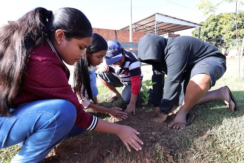 Quatro jovens agachados em um gramado ao ar livre trabalham juntos mexendo na terra para plantar uma pequena muda de árvore.
